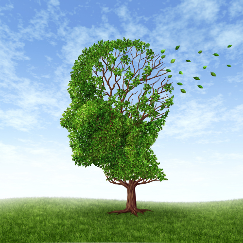 Dementia Services